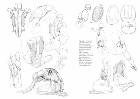 Anatomia artistica. Vol. 2: Strutture e superficie - Michel Lauricella - 3