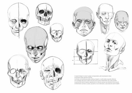 Anatomia artistica. Vol. 2: Strutture e superficie - Michel Lauricella - 5