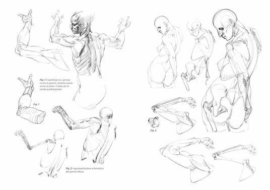 Anatomia artistica. Vol. 2: Strutture e superficie - Michel Lauricella - 6