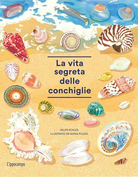 La vita segreta delle conchiglie - Helen Scales - copertina