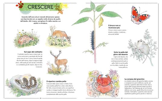 Vivere. Uno sguardo nuovo sugli animali. Ediz. a colori - Emmanuelle Tchoukriel,Virginie Aladjidi,Caroline Pellissier - 3