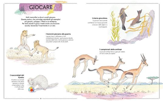 Vivere. Uno sguardo nuovo sugli animali. Ediz. a colori - Emmanuelle Tchoukriel,Virginie Aladjidi,Caroline Pellissier - 4