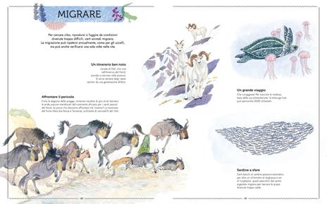 Vivere. Uno sguardo nuovo sugli animali. Ediz. a colori - Emmanuelle Tchoukriel,Virginie Aladjidi,Caroline Pellissier - 6