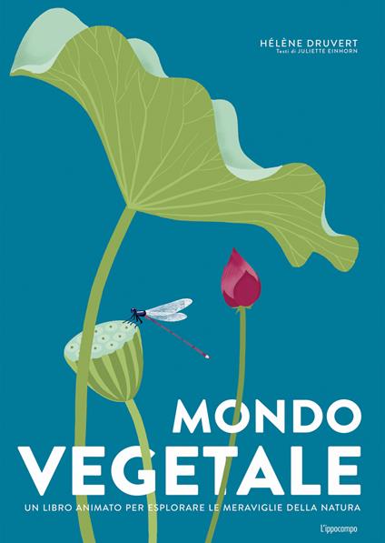 Mondo vegetale. Un libro animato per esplorare le meraviglie della natura. Ediz. a colori - Hélène Druvert - copertina