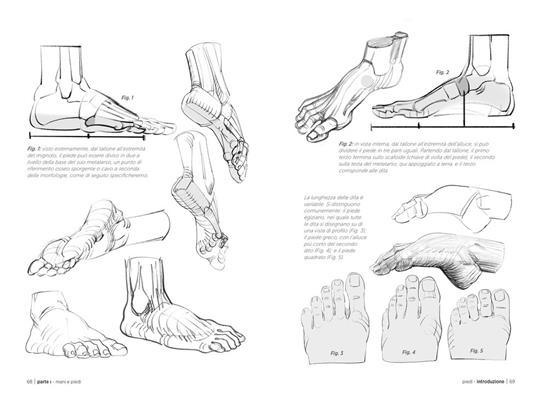 Anatomia artistica. Vol. 3: Mani, piedi, testa e collo - Michel Lauricella - 3