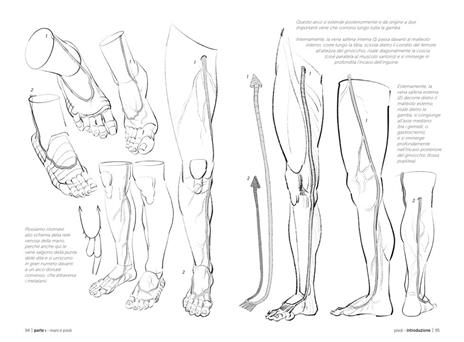 Anatomia artistica. Vol. 3: Mani, piedi, testa e collo - Michel Lauricella - 4