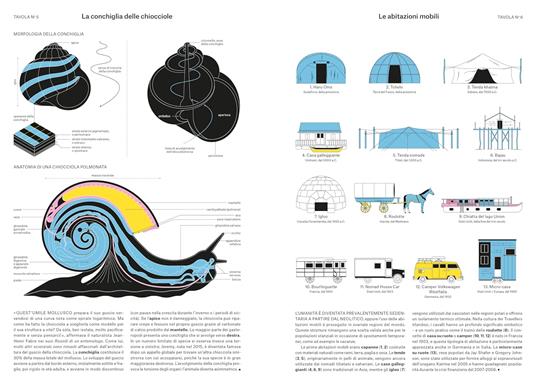 Fenomeni. Dall'impollinazione all'origine delle comete in 124 tavole illustrate. Ediz. illustrata - Camille Juzeau - 2