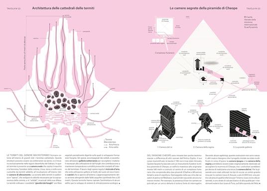 Fenomeni. Dall'impollinazione all'origine delle comete in 124 tavole illustrate. Ediz. illustrata - Camille Juzeau - 3