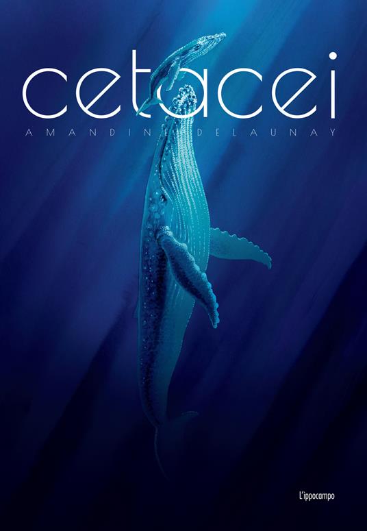 Cetacei. Album scoperte - Amandine Delaunay - copertina