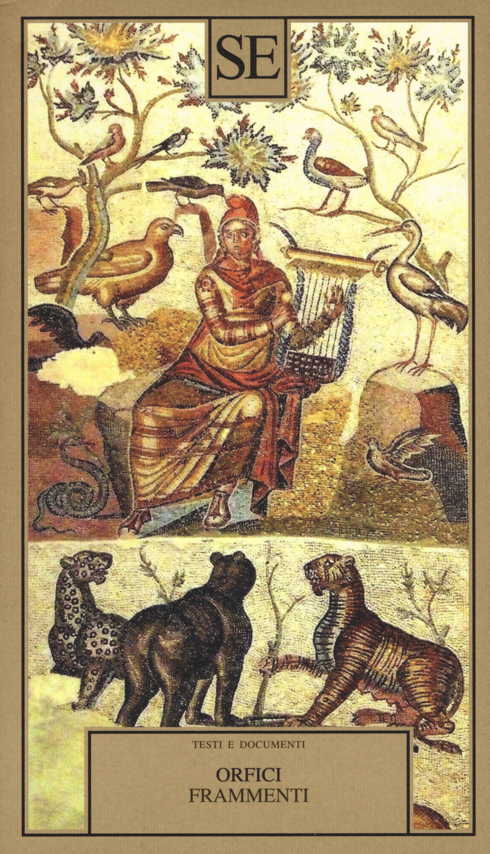 ibs
