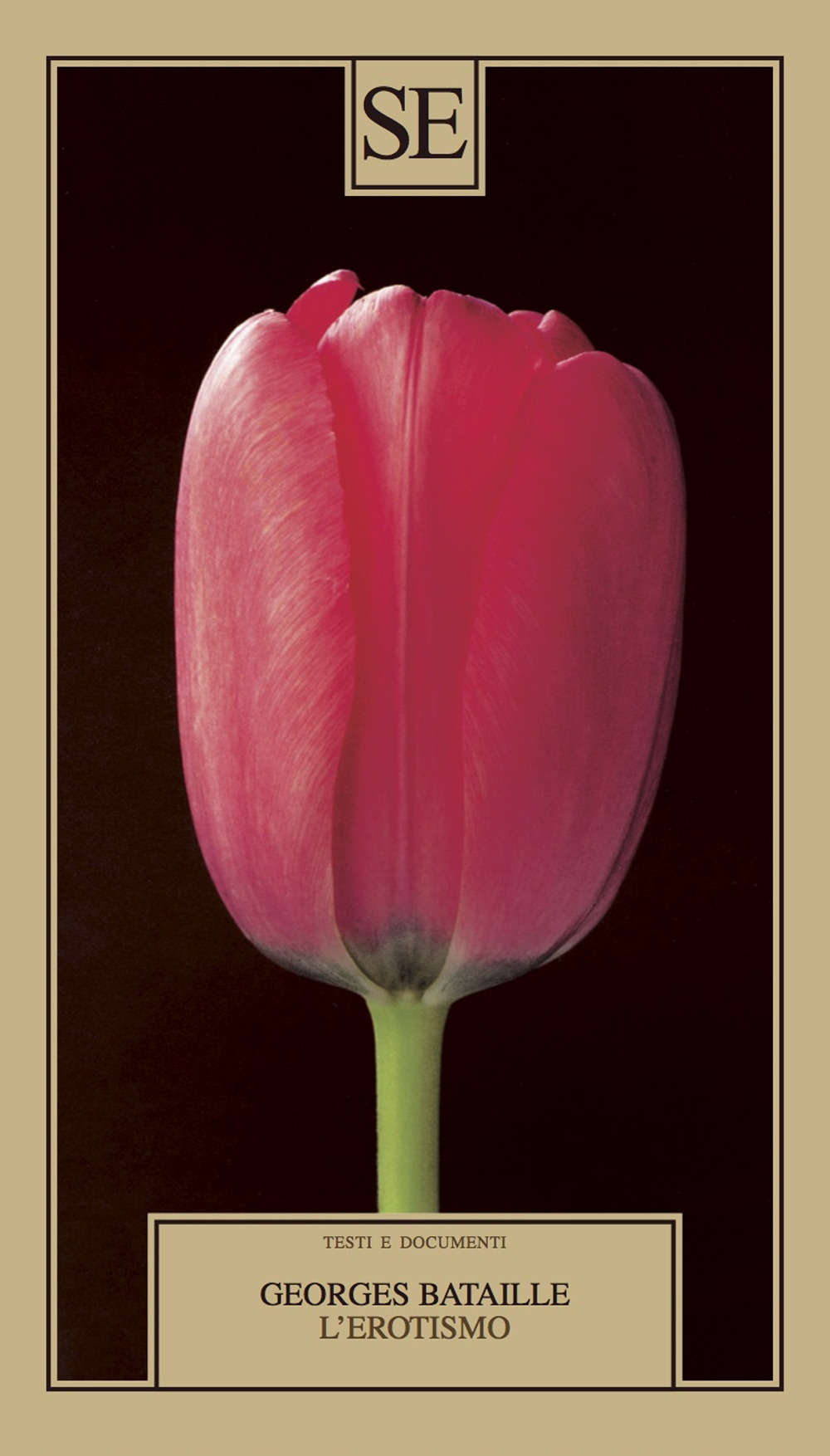 Libreria Internazionale Romagnosi snc