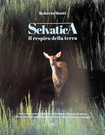 Selvatica. Il respiro della terra. Ediz. a colori - Roberto Monti - copertina