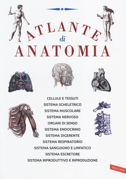 Atlante di anatomia - copertina