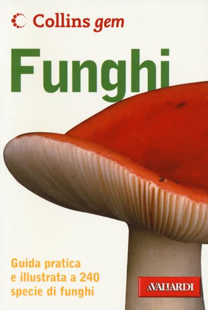Funghi - Patrick Harding - copertina