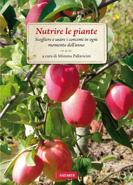 Nutrire le piante. Scegliere e usare i concimi in ogni momento dell'anno - Mimma Pallavicini,R. Ammassari - ebook