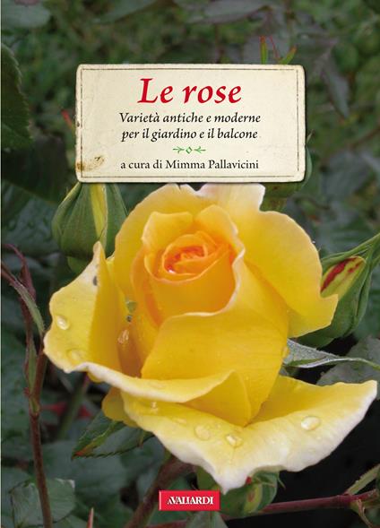 Le rose. Varietà antiche e moderne per il giardino e il balcone - Mimma Pallavicini,R. Ammassari - ebook