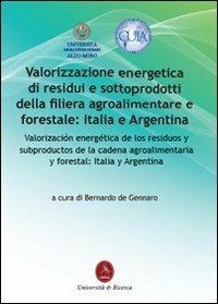 Valorizzazione energetica di residui e sottoprodotti della filiera agroalimentare e forestale: Italia e Argentina - copertina