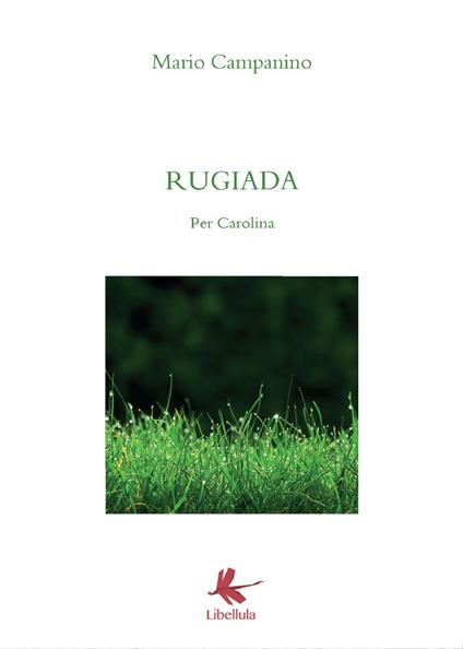 Rugiada. Per Carolina - Mario Campanino - copertina