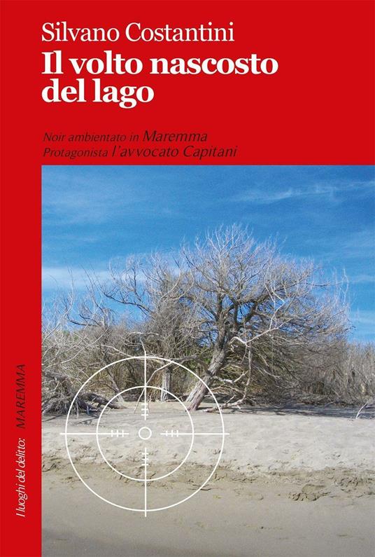 Il volto nascosto del lago - Silvano Costantini - copertina