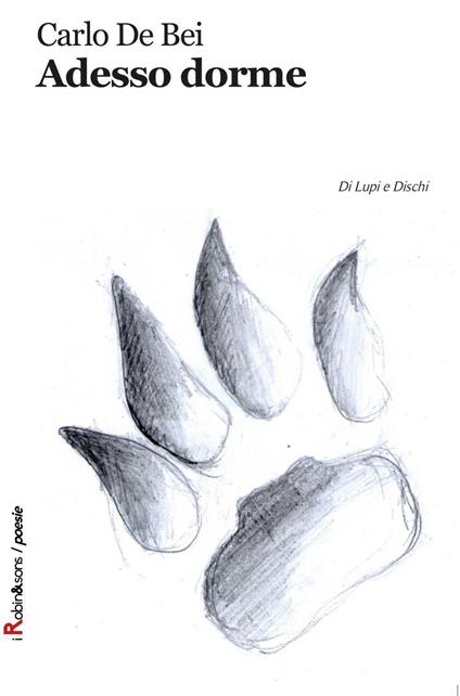 Adesso dorme - Carlo De Bei - copertina