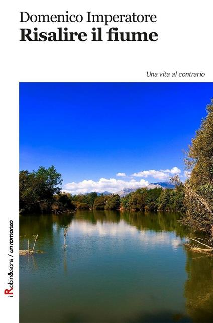 Risalire il fiume - Domenico Imperatore - copertina