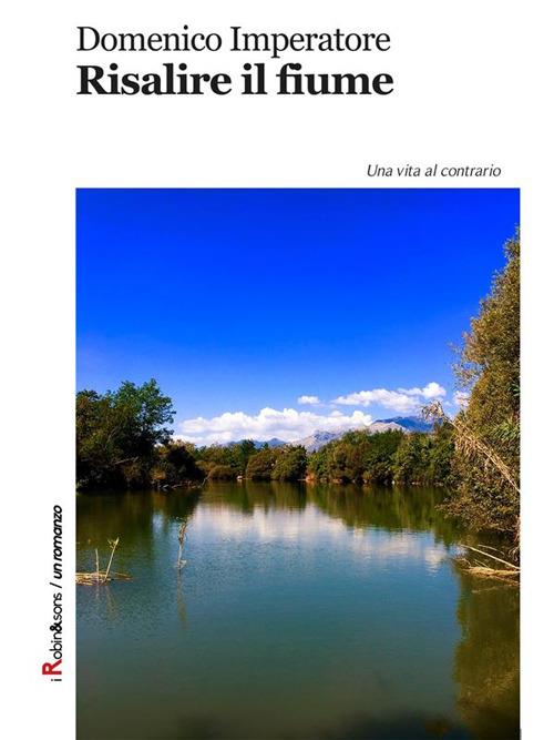 Risalire il fiume - Domenico Imperatore - ebook