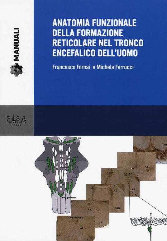 Anatomia funzionale della formazione reticolare nel tronco encefalico dell'uomo - Francesco Fornai,Michela Ferrucci - copertina