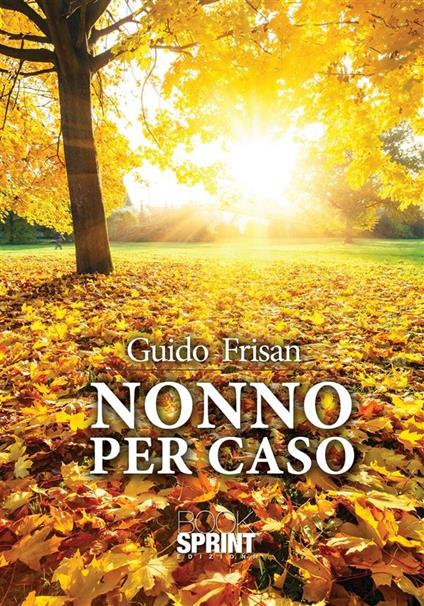 Nonno per caso - Guido Frisan - ebook