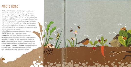 Il mio piccolo orto biologico - Marta Bassotti - 4