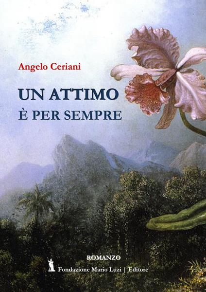 Un attimo è per sempre - Angelo Ceriani - copertina