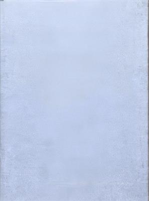 Jason Dodge. A permanently open window. Ediz. italiana e inglese - Jason Dodge - copertina