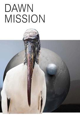 Katja Novitskova. Dawn mission. Ediz. inglese e tedesca - copertina