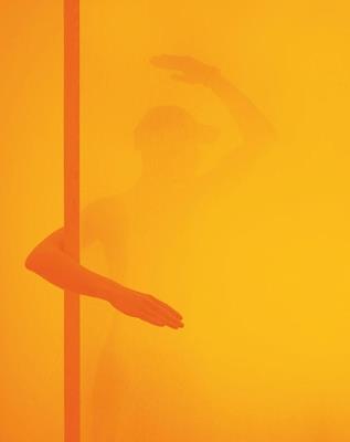 Armin Lorenz Gerold - copertina