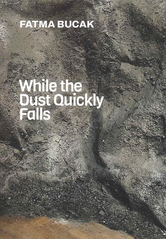 Fatma Bucak. While the dust quickly falls. Ediz. illustrata - copertina