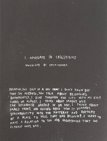 Ester Fleckner: I navigate in collisions - copertina