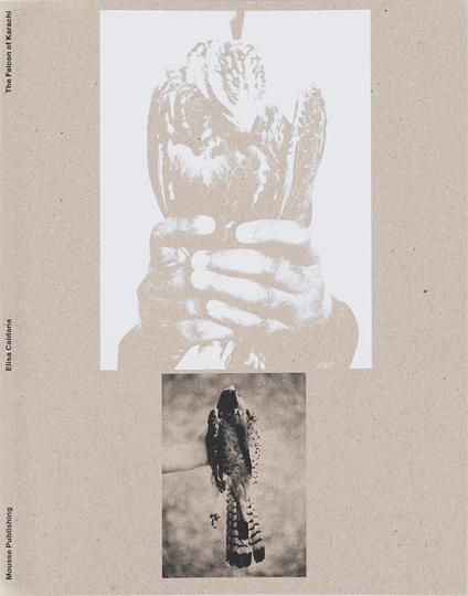 Elisa Caldana: The falcon of Karachi. Ediz. illustrata - copertina