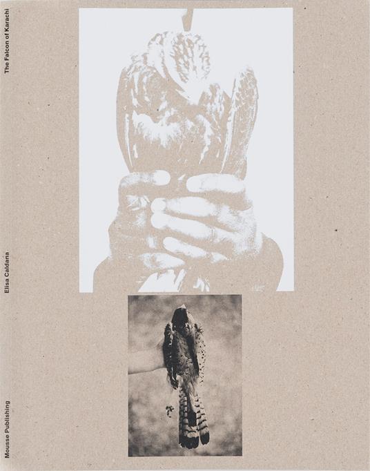 Elisa Caldana: The falcon of Karachi. Ediz. illustrata - copertina