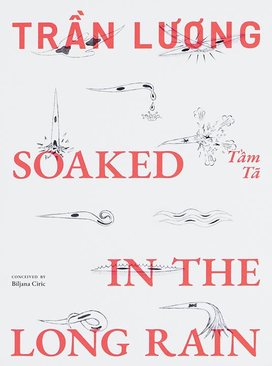 Tran Luong. Soaked in the long rain. Ediz. a colori - copertina