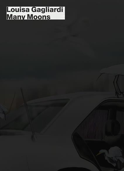 Louisa Gagliardi. Many moons. Catalogo della mostra (Lugano, 15 febbraio-20 luglio 2025). Ediz. italiana e inglese - copertina
