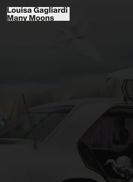 Louisa Gagliardi. Many moons. Catalogo della mostra (Lugano, 15 febbraio-20 luglio 2025). Ediz. italiana e inglese - copertina