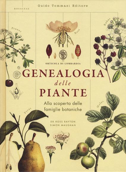Genealogia delle piante - Ross Bayton,Simon Maughan - copertina
