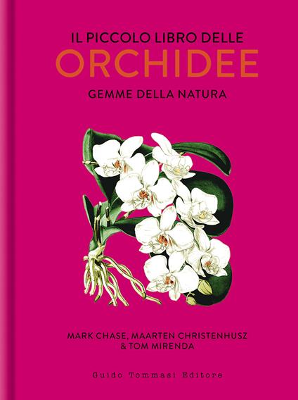 Il piccolo libro delle orchidee. Gemme della natura - Mark W. Chase,Maarten Christenhusz,Tom Mirenda - copertina