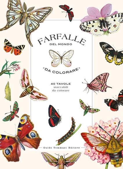 Farfalle del mondo da colorare - copertina
