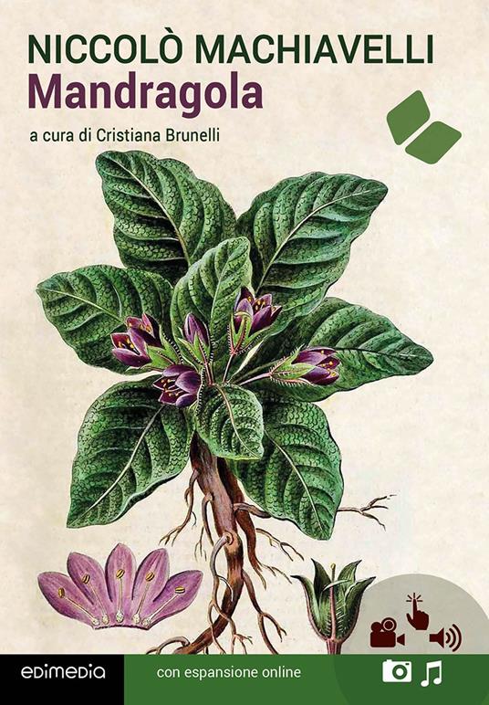 Mandragola - Niccolò Machiavelli - copertina