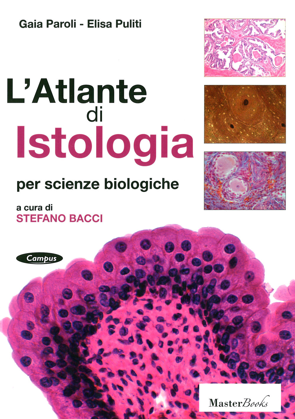 ibs