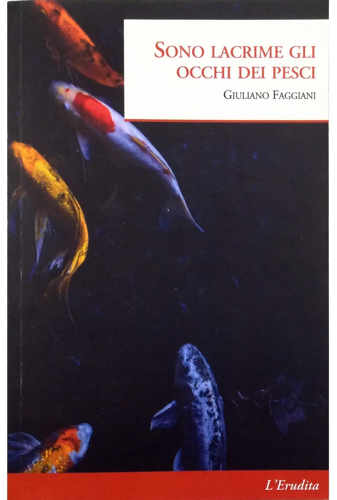 Libreria Tara