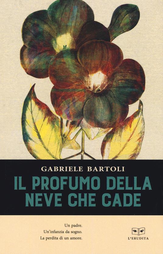 Il profumo della neve che cade - Gabriele Bartoli - copertina