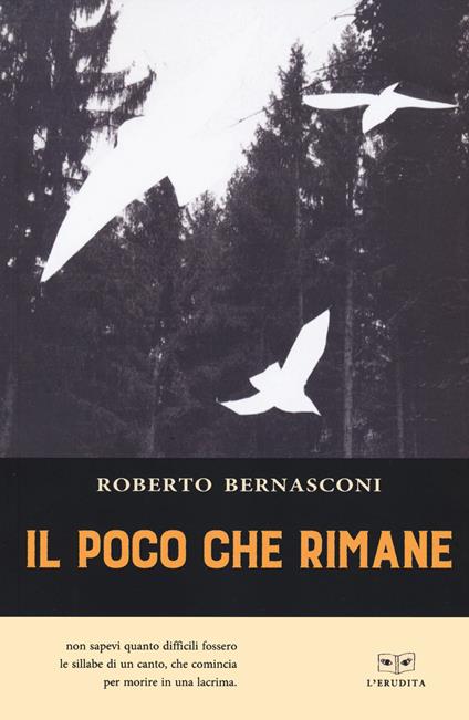 Il poco che rimane - Roberto Bernasconi - copertina