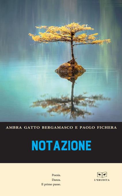 Notazione - Ambra Gatto Bergamasco,Paolo Fichera - copertina