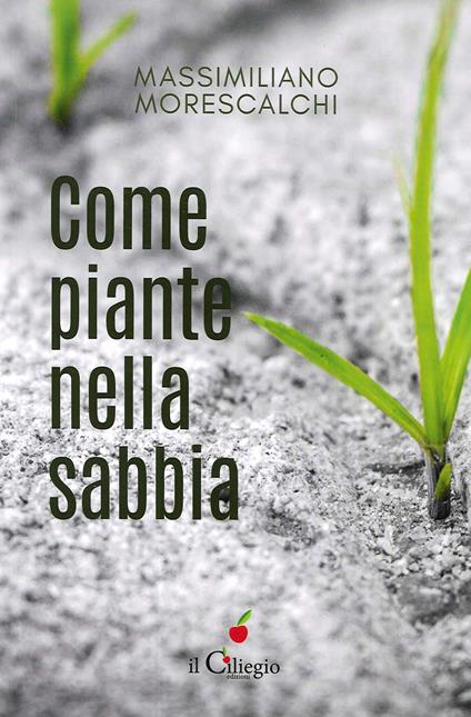 Come piante nella sabbia - Massimiliano Morescalchi - copertina